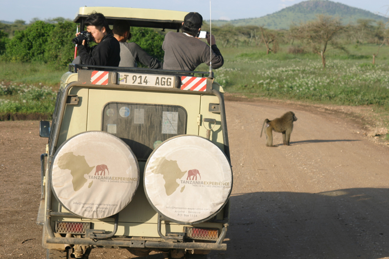 Serengeti und Ngorongoro Krater Exkursion in Tansania, Ostafrika