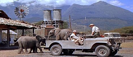 Szene aus dem Spielfilm Hatari von Howard Hawks mit Hardy Krüger - gedreht im heutigen Arusha Nationalpark von Tansania Szene aus dem Spielfilm Hatari von Howard Hawks mit Hardy Krüger - gedreht im heutigen Arusha Nationalpark von Tansania