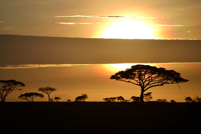 Sonnenaufgang in der Serengeti Tansanias