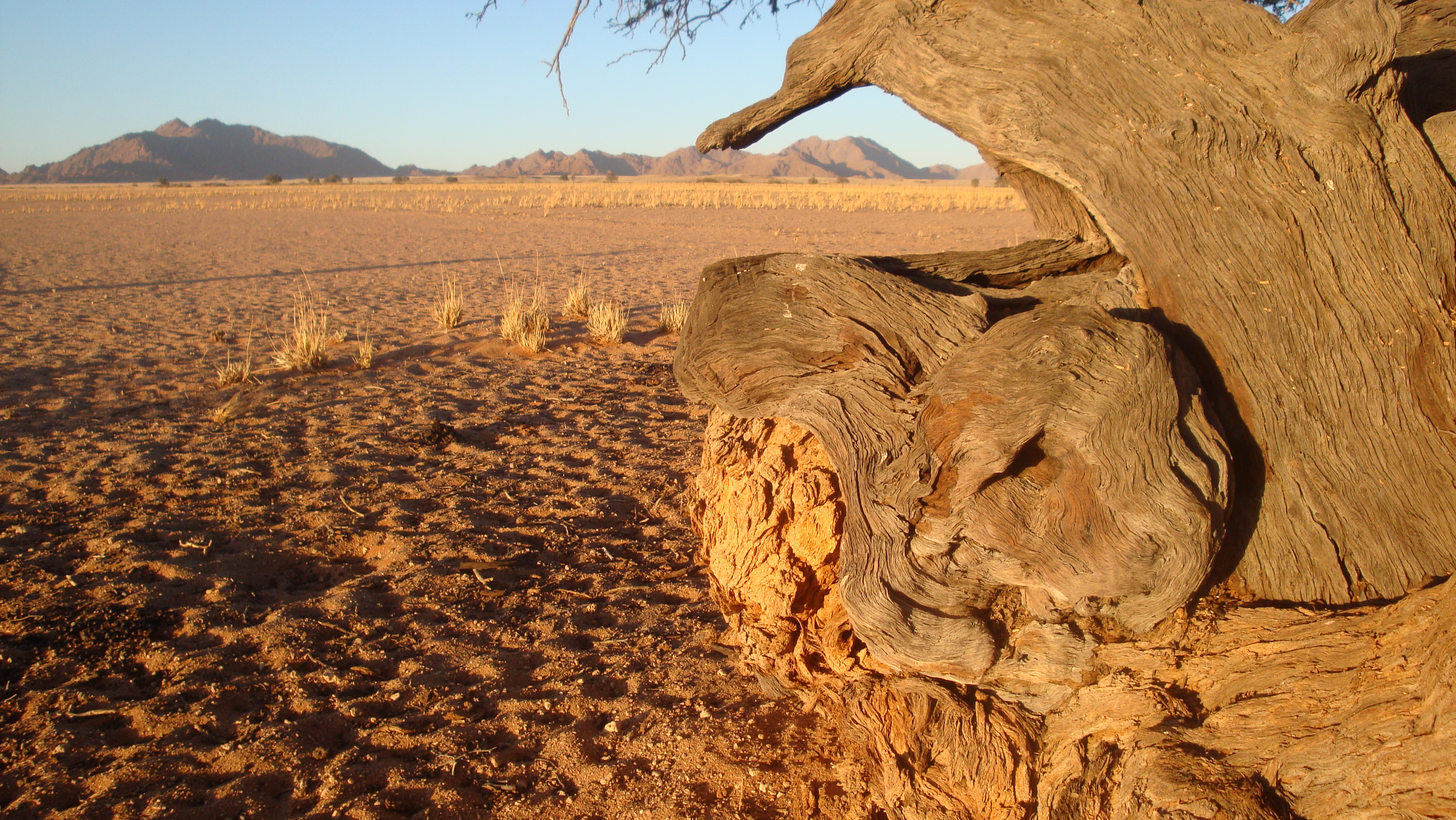 Afrika Urlaub in Namibia: Safari zu den Sossusvlei Sanddünen