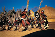 Zulu Kultur und Luxus Lodge: Safari zur Isibindi Zulu Lodge in Südafrika