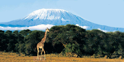 Afrika Safari Traum: Mount Kilimanjaro in Tansania