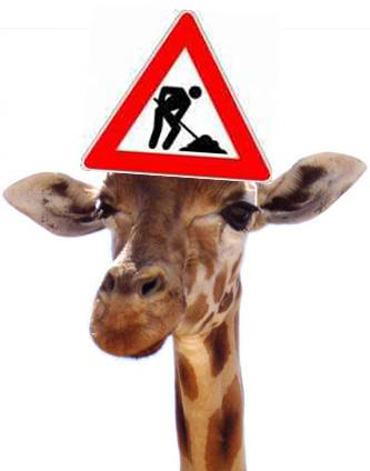 Safari Update mit Daten und Preisen 2012 Safari Update mit Daten und Preisen 2012