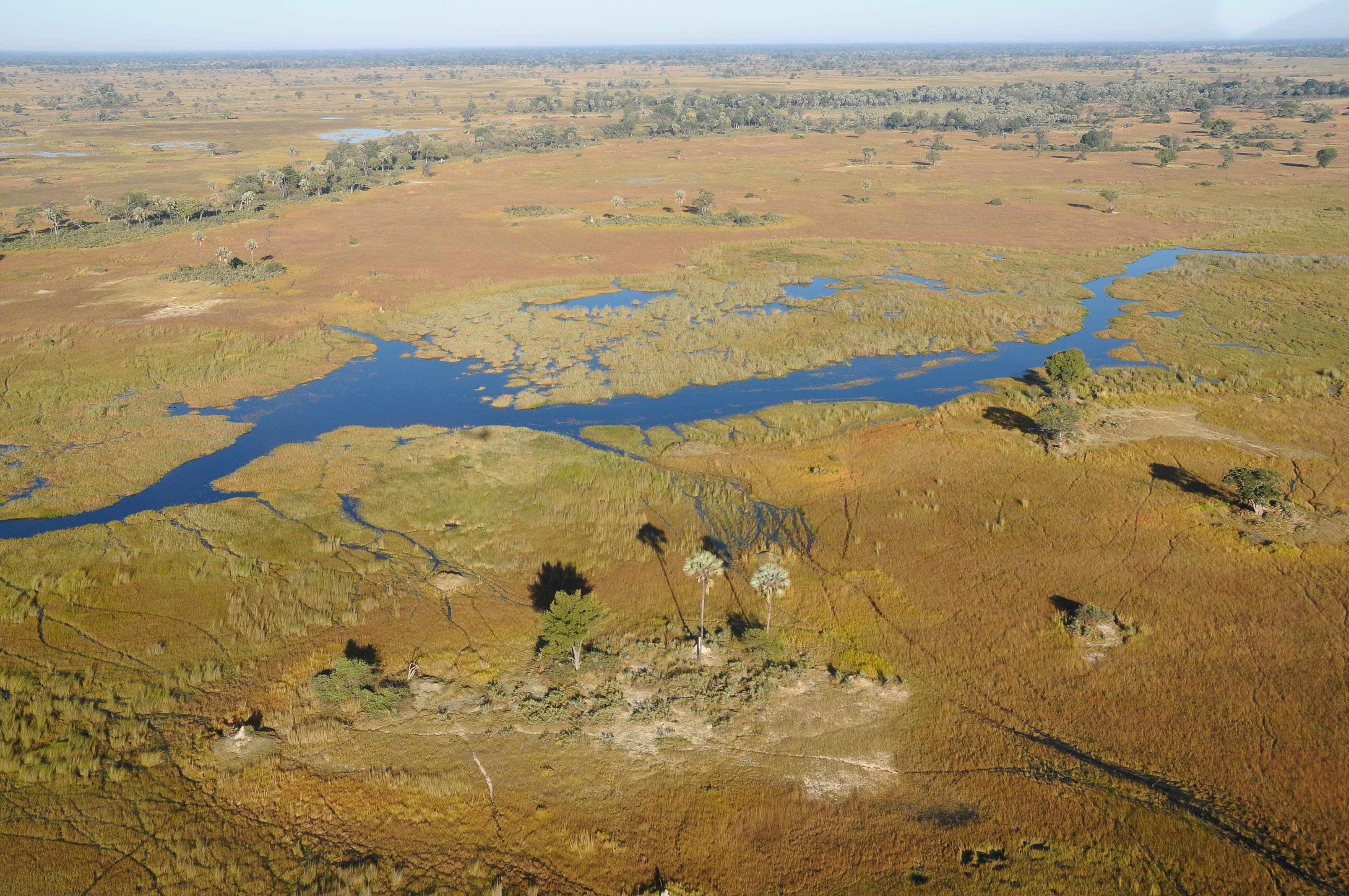 Fly In Safari in Afrika: Botswanas Okavango Delta