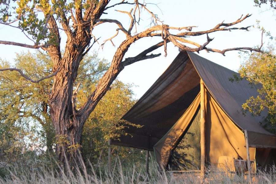Zelt Camp im Busch des Krüger Parks in Südafrika