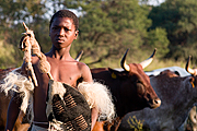 Natur, Zulu Kultur und Luxus: Isibindi Zulu Lodge in Südafrika