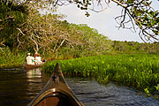 Kanu Safari nahe St. Lucia mit Luxus Unterkunft in der Kosi Forest Lodge, Südafrika Kanu Safari nahe St. Lucia mit Luxus Unterkunft in der Kosi Forest Lodge, Südafrika