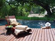 Luxus Urlaub in Südafrika individuell in der Rhino Post Safari Lodge, Plains Camp, Zulu Lodge, Thonga Beach und Kosi Forest Lodge