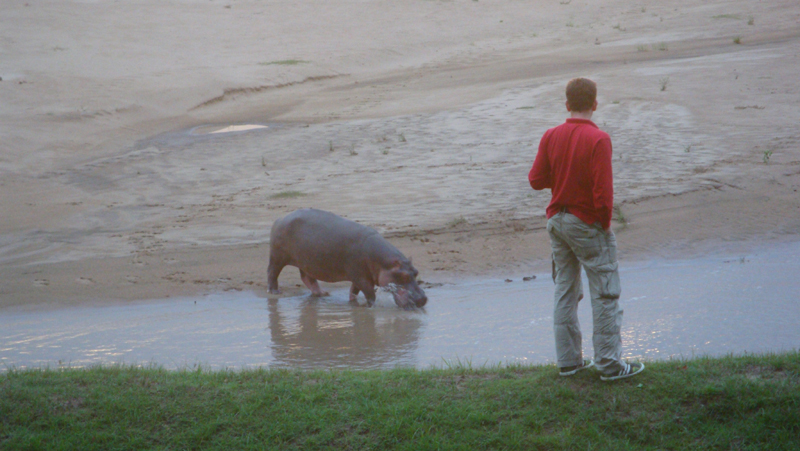 Zeltcamp am Luangwa Fluss in Sambia, Ostafrika