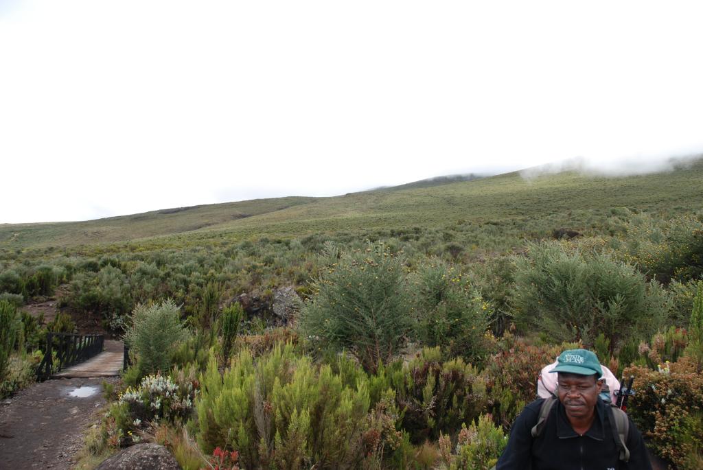 Trekking Safari in Tansania: Tuomas' Foto von seiner Kilimandscharo Wanderung