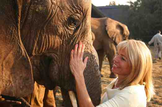 Tierarzt als Reiseführer: Safari in Südafrika zum Elefantenschutzzentrum Tierarzt als Reiseführer: Safari in Südafrika zum Elefantenschutzzentrum