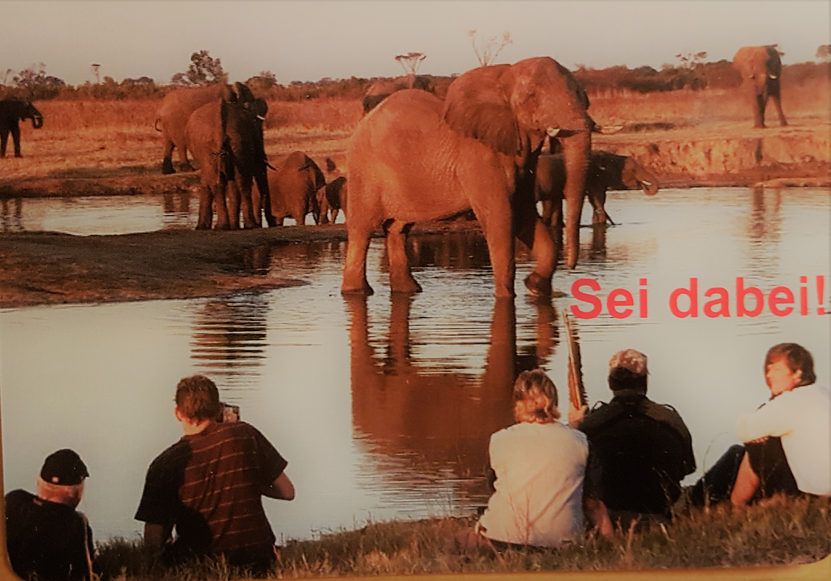 Volunteer Projekt in Südafrikas Krüger Park  - ITB Special von SafariScout.com