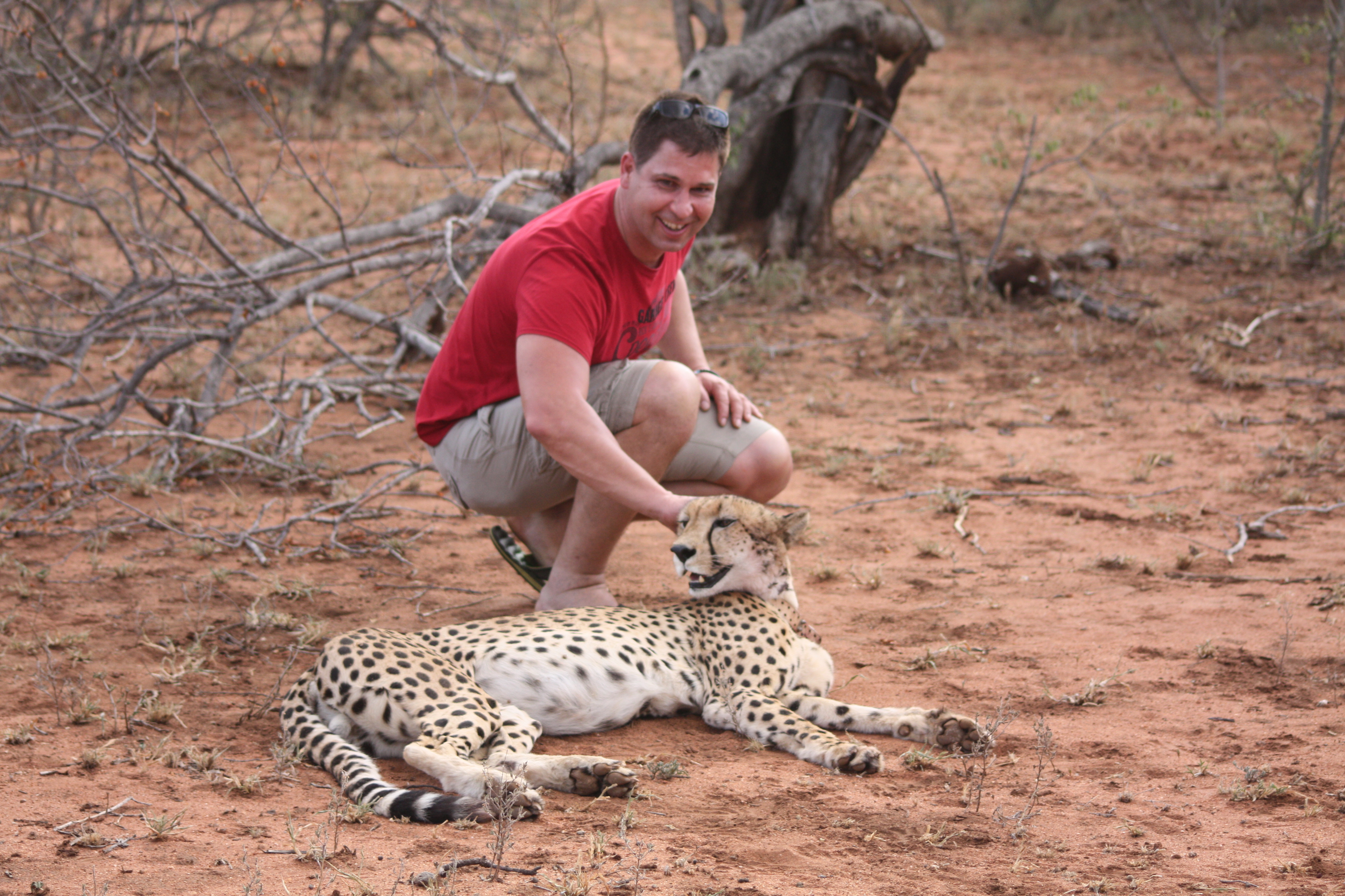 SafariScout.com Kunde Matthias mit Geparden im Kruger Park