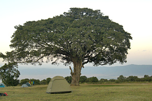 Camping am Krater in Afrika - Ngorongoro in Tansania